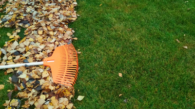 Letzter Rasenschnitt und letzte Düngung im Herbst – wann ist der richtige Zeitpunkt?