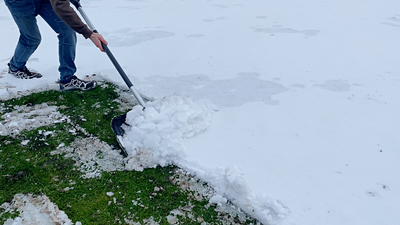 Die richtige Rasenpflege im Winter