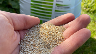 Rasen kalken -Wie, wann & warum? 