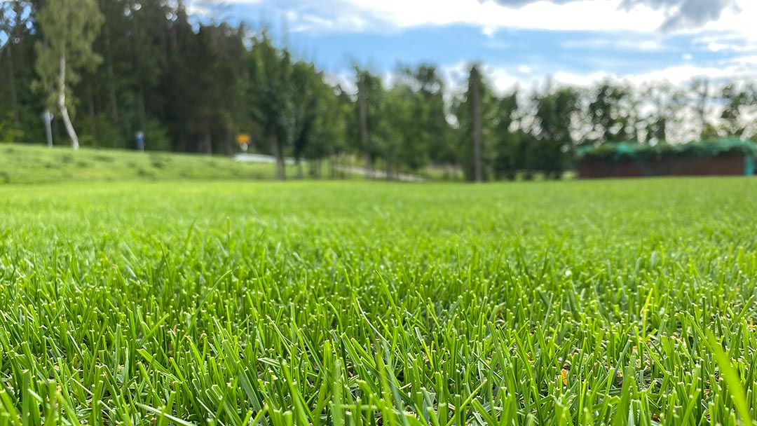 41+ Rasenpflege Im Sommer, In diesem leitfaden erfahren sie, wie sie