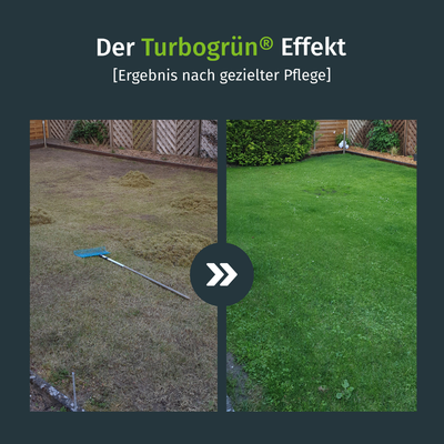 Rasen Bodenanalyse + Düngeplan