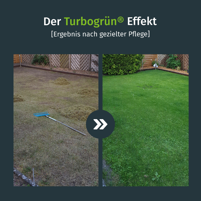 Rasen Bodenanalyse + Düngeplan