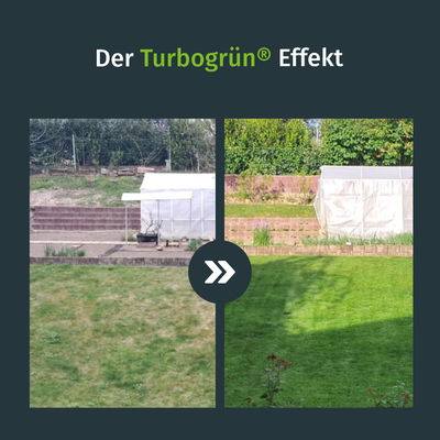 Flüssig-Rasendünger inkl. Sprühkopf