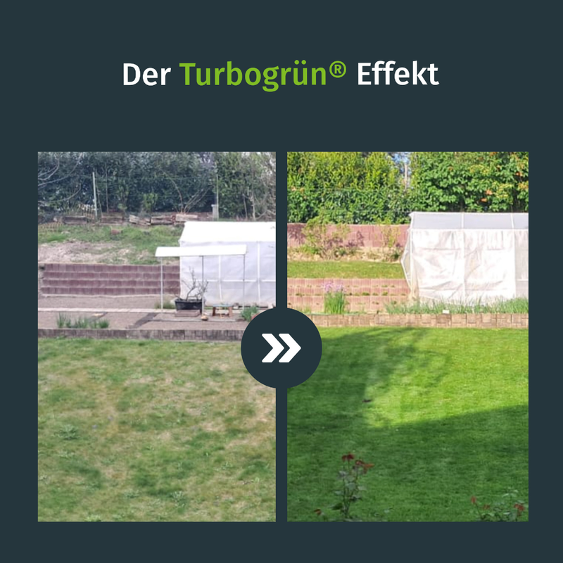 Flüssig-Rasendünger inkl. Sprühkopf