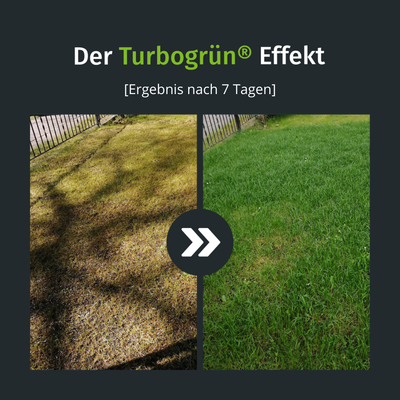 Turbo Rasenset + GRATIS Unkrautvernichter