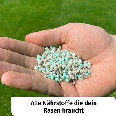 Regenerations Rasenpaket + Gratis Unkrautvernichter