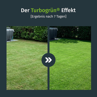 Langzeit-Rasendünger / Frühjahr-Rasendünger