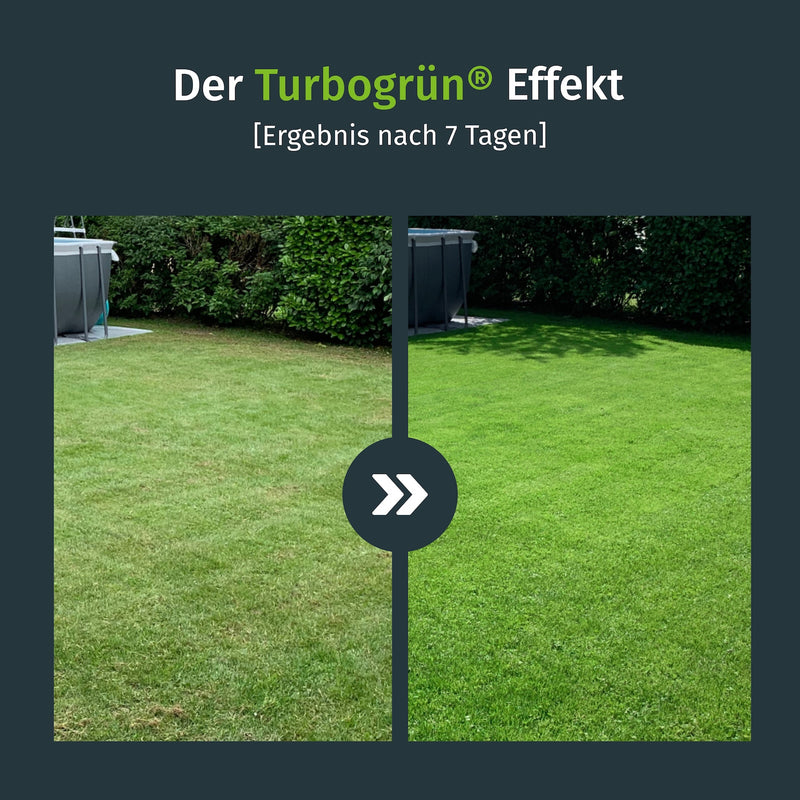 Langzeit-Rasendünger / Frühjahr-Rasendünger