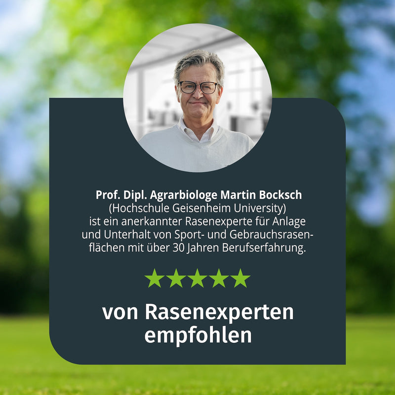 Nachsaat Rasen