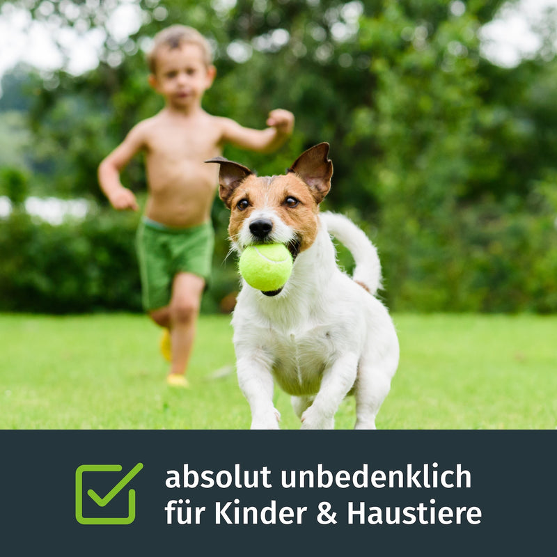 Rasenkalk