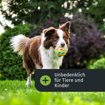 Unbedenklich für Kinder und Tiere