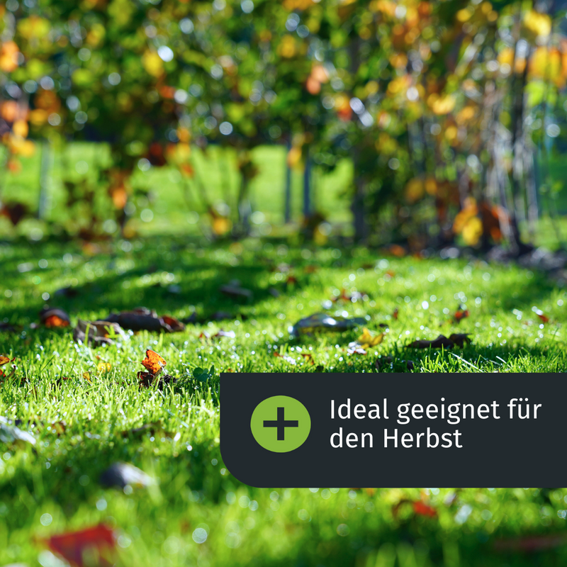 Ideal geeignet im Herbst