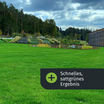 Schnelles sattgrünes Ergebnis