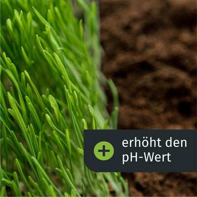 erhöht den pH-Wert