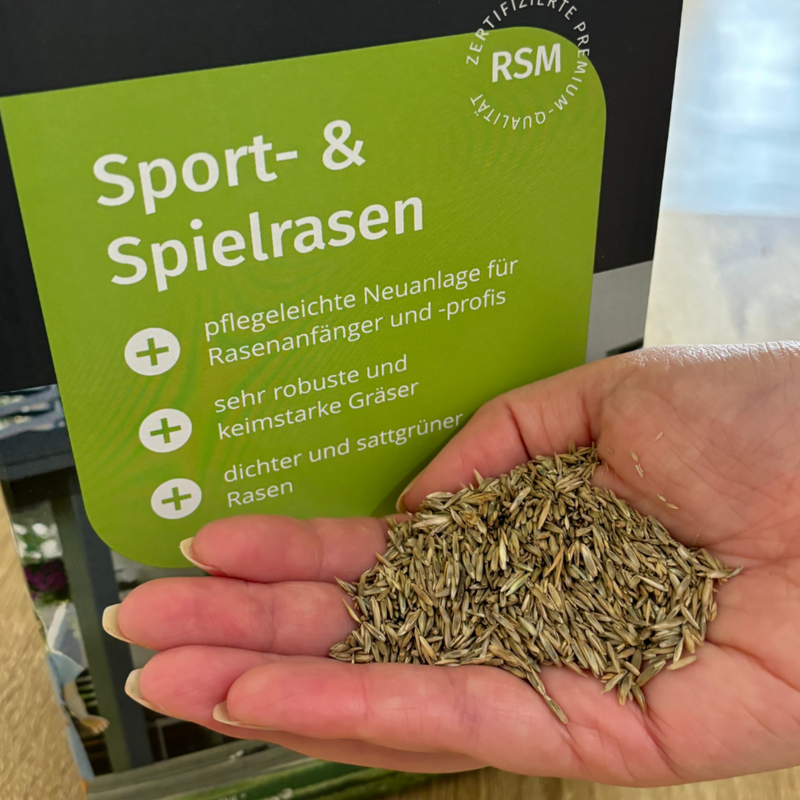 Sport- und Spielrasen