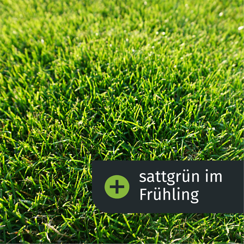 sattgrün im Frühling