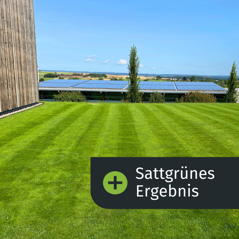 Sattgrünes Ergebnis