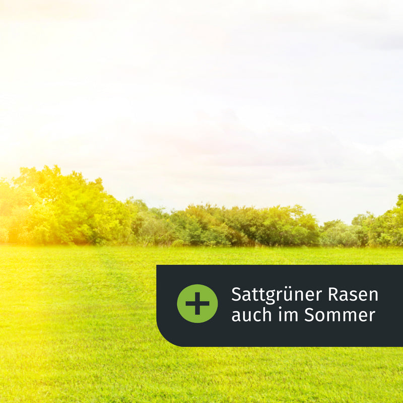 Sommerdünger mit Unkrautvernichter