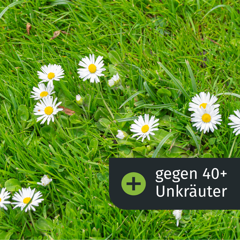 Sommerdünger mit Unkrautvernichter