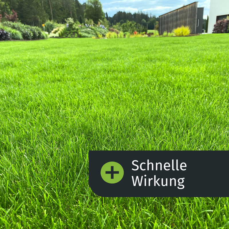 Sommer - Rasenset