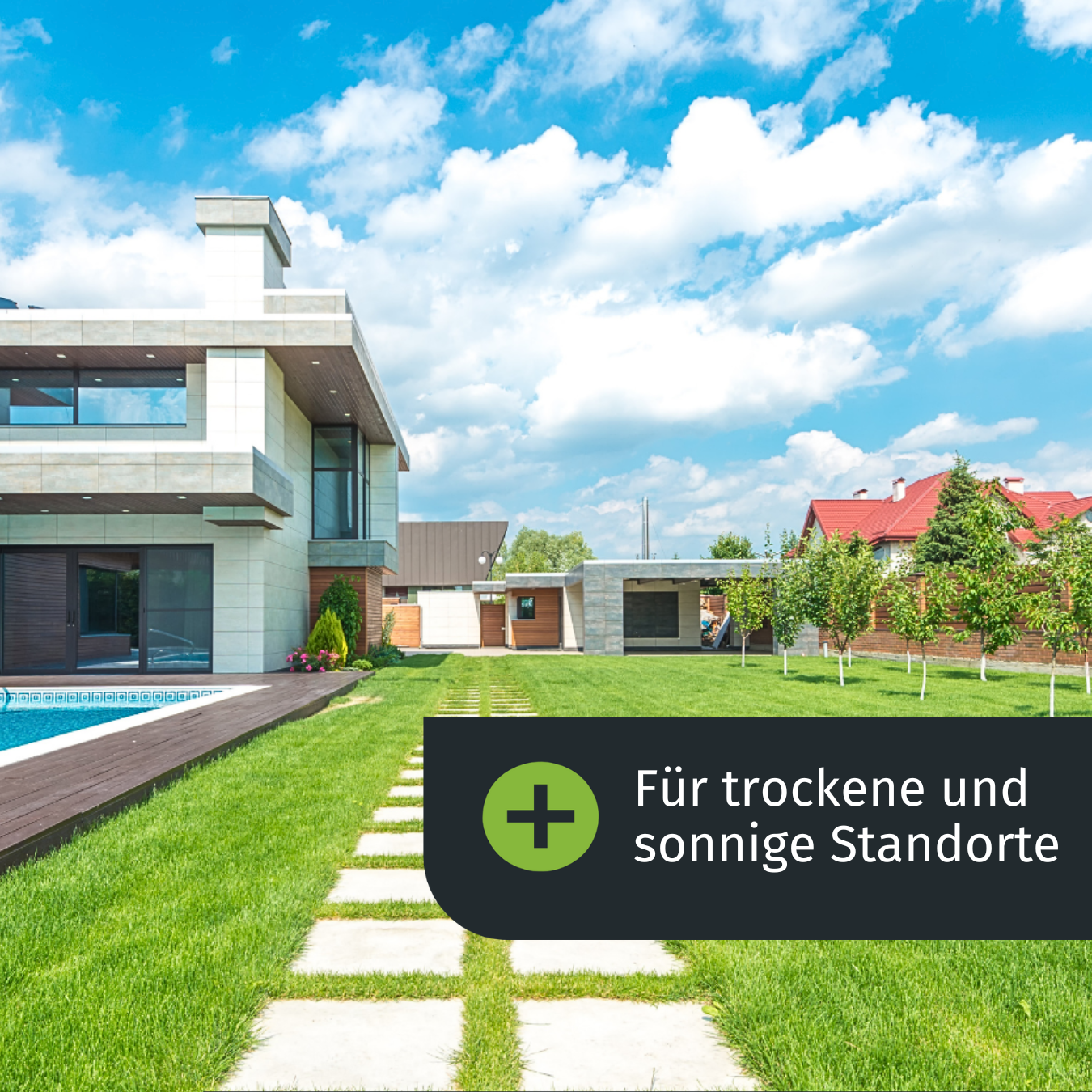 Trockenrasen Rasensamen für trockene Standorte Turbogrün turbogrün