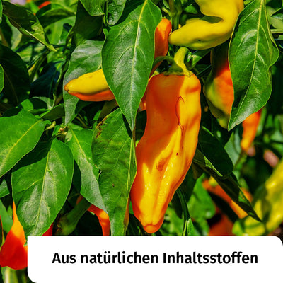 Stopp Regenwurmhäufchen